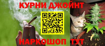 PSILOCYBIN Кинель