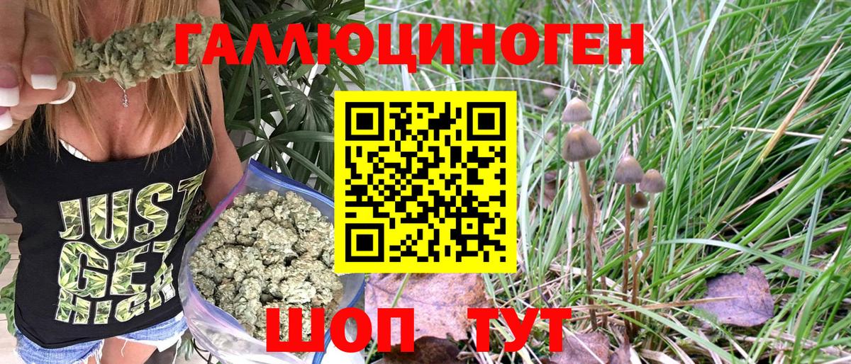 Псилоцибиновые грибы Magic Shrooms  Вход с VPN  Зеленогорск 