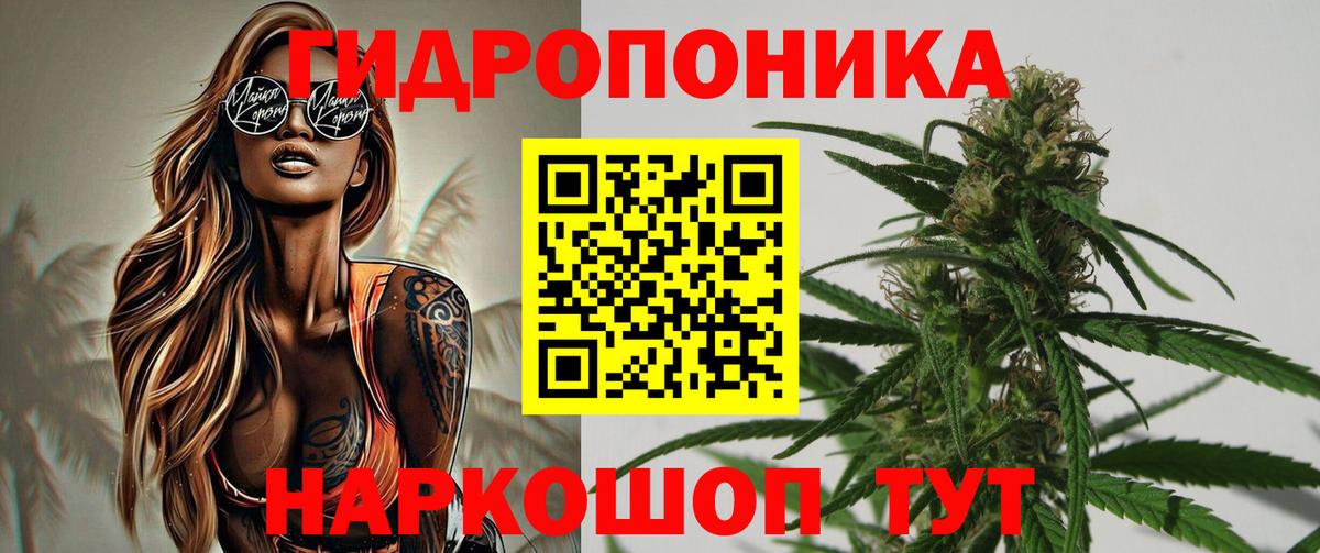Зеленогорск  МАРИХУАНА White Widow  Бошки марихуана гибрид  Вход с VPN 